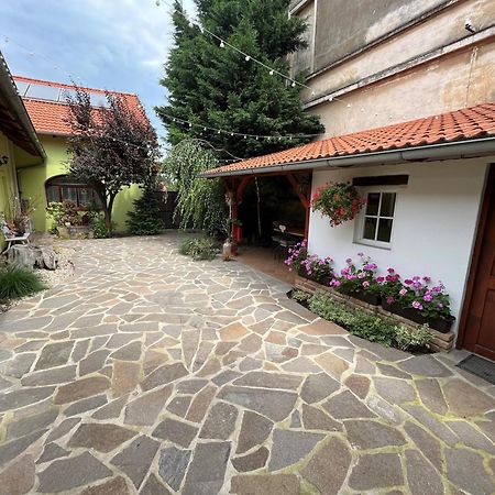 Penzion Primášé Dolni Vestonice Exterior foto
