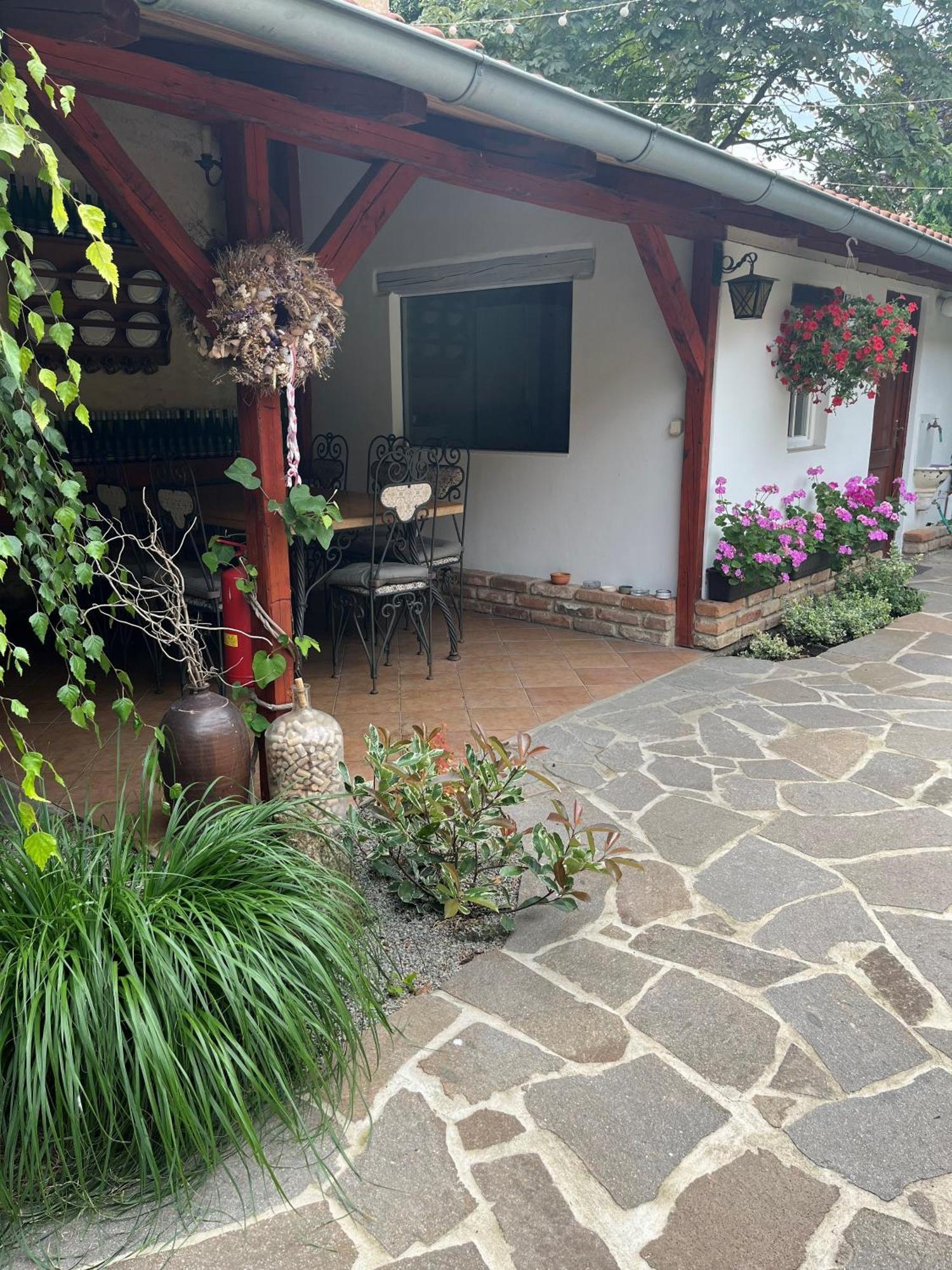 Penzion Primášé Dolni Vestonice Exterior foto