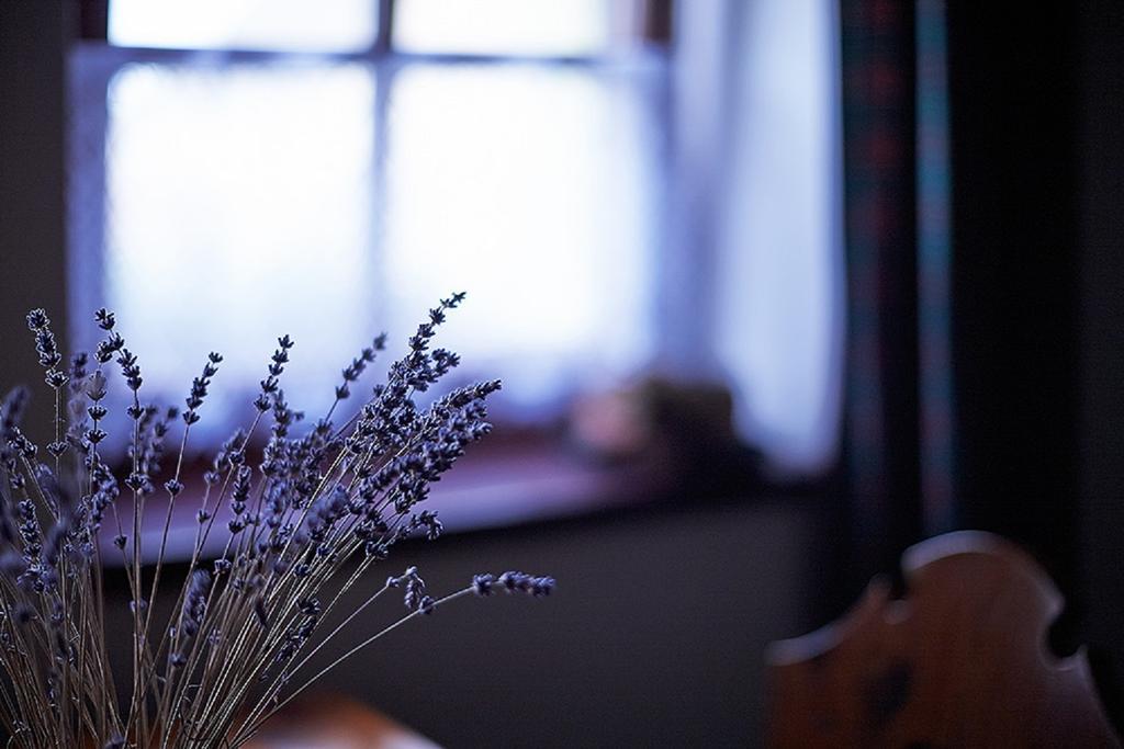 Penzion Primášé Dolni Vestonice Zimmer foto
