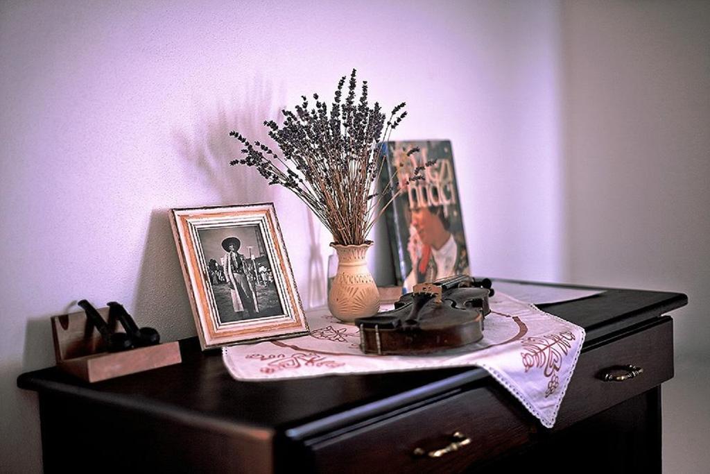 Penzion Primášé Dolni Vestonice Zimmer foto